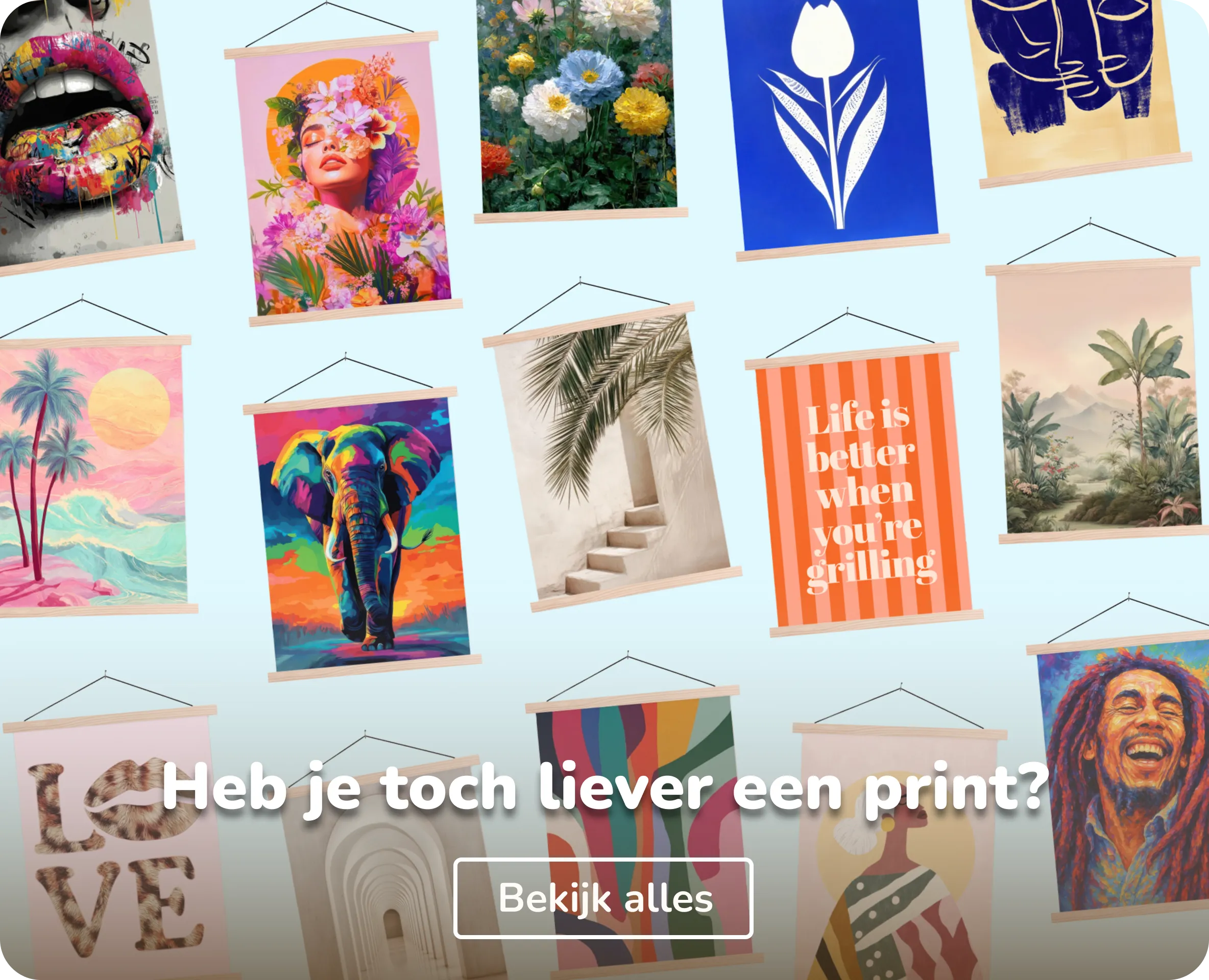 Schoolplaat collecties