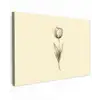 Illustratie - Tulp - Zwart canvas 2cm klein -z3d