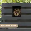 Leeuw in het schaduwlicht tuinposter los doek klein -sfeer3