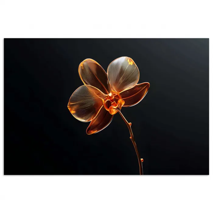 Orchidee - Doorzichtig - Bloem poster papier klein -3d