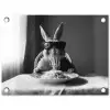 Konijn - Bunny - Zonnebril - Tafelkleed - Pasta - Schattig tuinposter los doek klein -3d