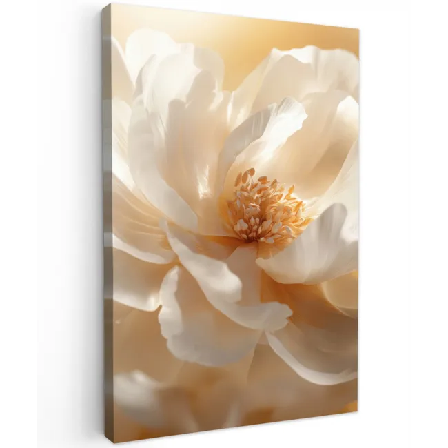 Close up - Pioenroos - Wit Tuinposter op houten frame 2 cm dik klein -3d