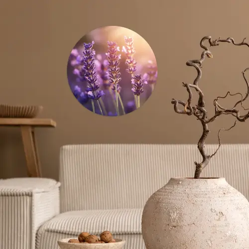 Lavendelbloemen - Paars - Zonlicht Wandcirkel behangsticker klein -sfeer1