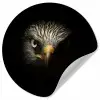 Vogel - Adelaar - Roofvogels - Oog - Snavel - Licht Wandcirkel behangsticker klein -3d