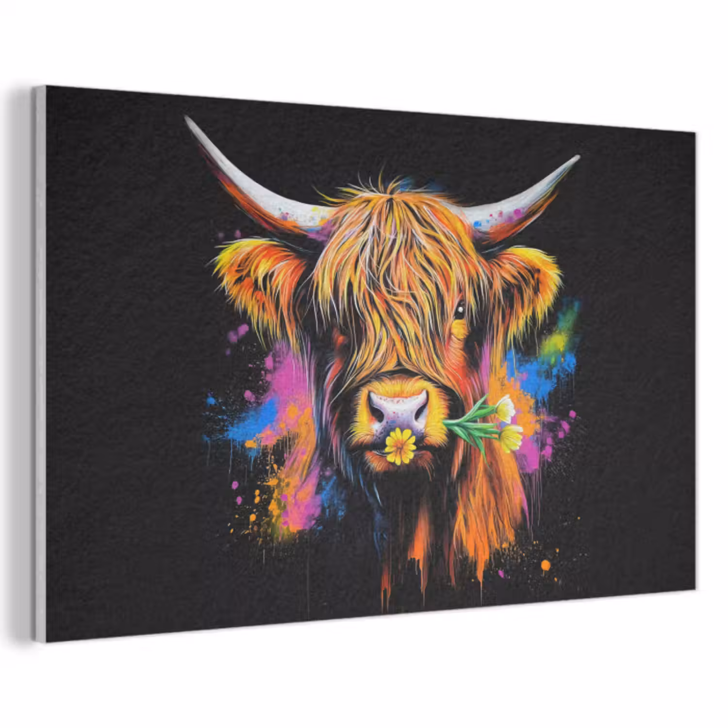 Akoestisch schilderij - Schotse Hooglander - Graffiti - Kleurrijk - Bloem - Dieren