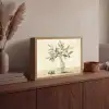 Vaas - Keramiek - Olijftakken Light Box met batterij (Wandlamp) middel -sfeer2