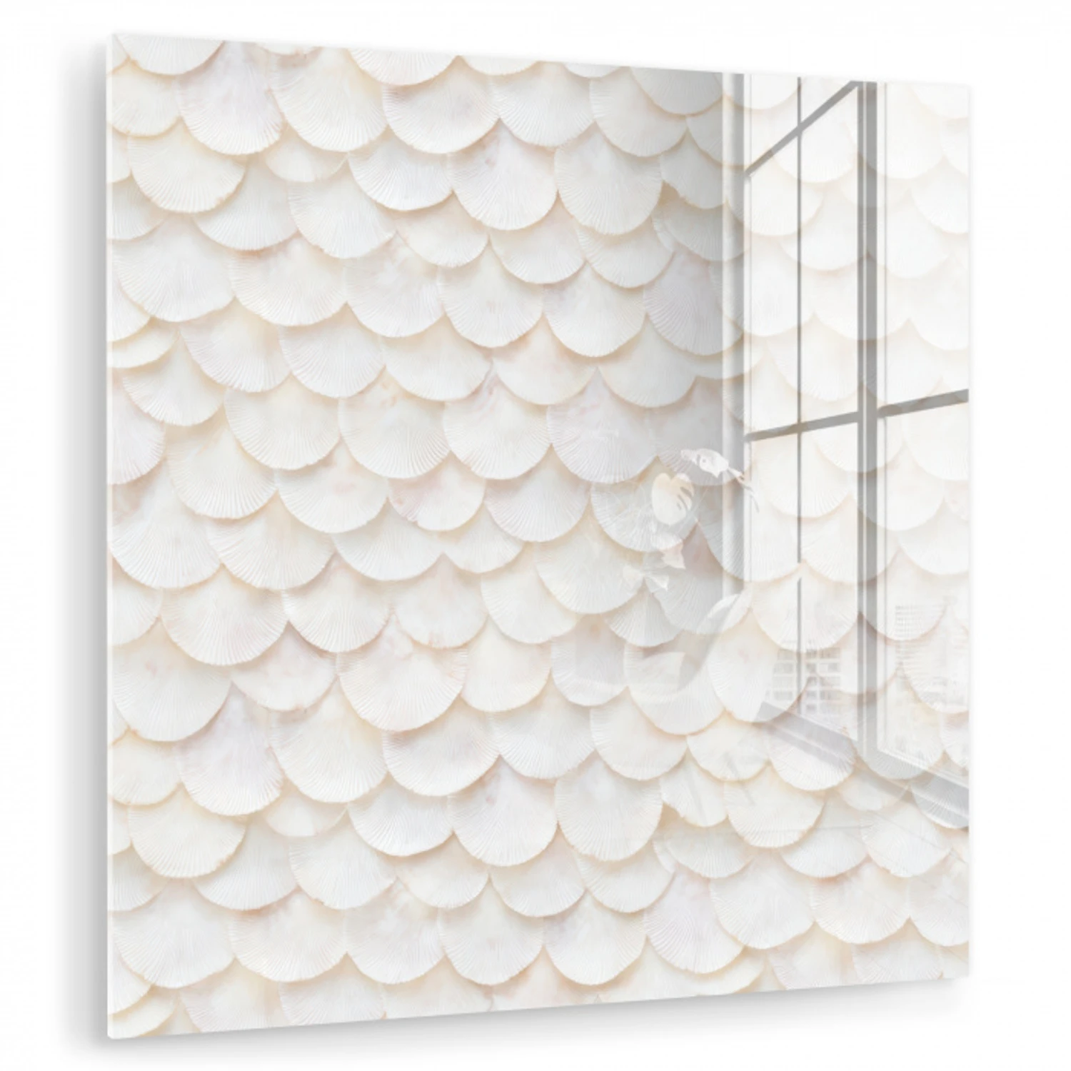 Schubben - Wit - Elegant plexiglas 5mm klein 11 -zzzproduct_nieuw