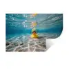 Duikbril - Eend - Water Muursticker klein -3d