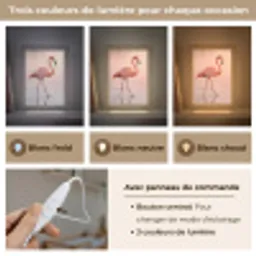 Flamingo - Water - Roze Light Box met kabel (Kinderlampje) klein -USP_lichtkleurFR