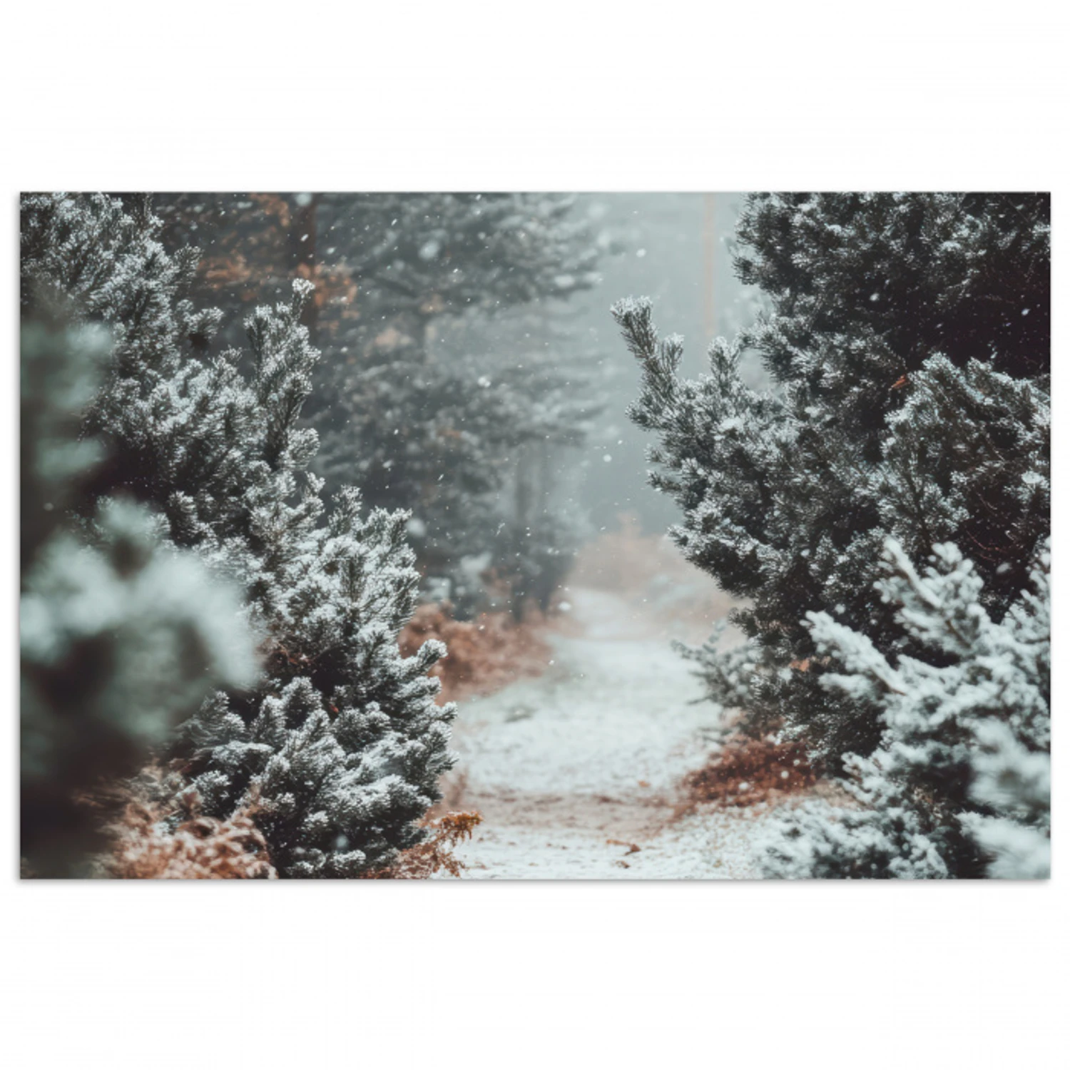 Bos - Winter - Bomen - Natuur - Pad - Sneeuw poster papier klein -3d