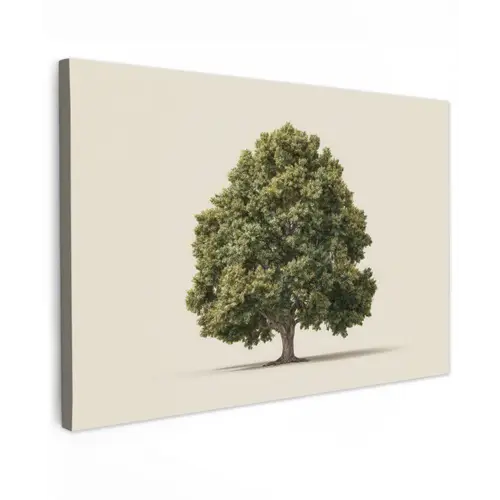 Eikenboom - Groen - Lichte achtergrond canvas 2cm klein -z3d