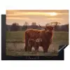 Schotse hooglander - Dieren - Landschap - Zonsondergang - Koe Inductie beschermer vinyl 3mm klein -3d