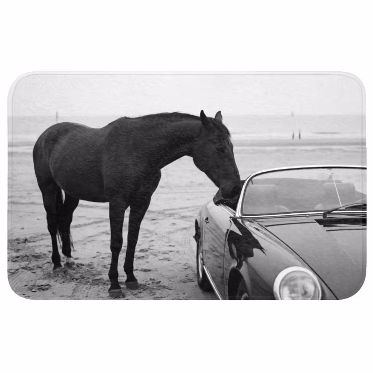 Badmat - Paard - Auto - Zwart - Wit