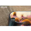 Bloemen - Paars - Bijen Placemat vinyl groot -closeup
