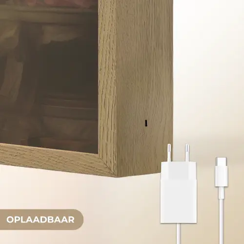 Vrouw - Barokjurk - Kauwgom Light Box met batterij (Wandlamp) middel -USP_websiteoplaadbaarNL