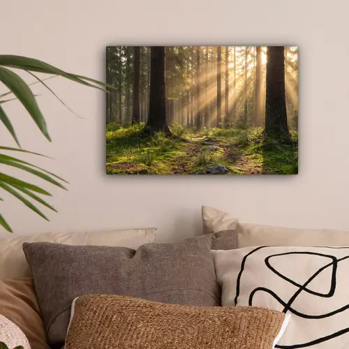Bos - Zonlicht - Gras canvas 2cm klein -sfeer1