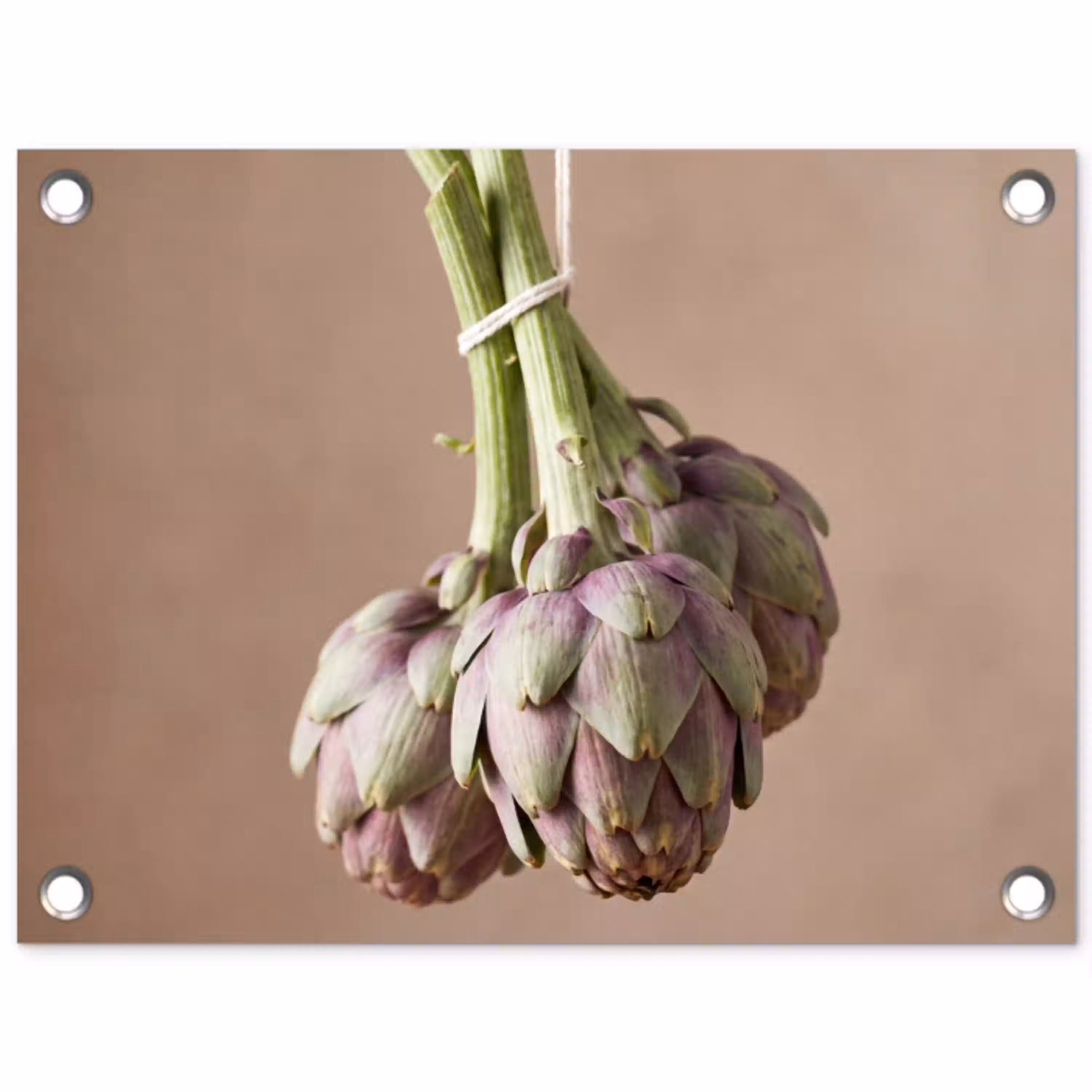Artisjokken - Hangend - Groenten tuinposter los doek klein -3d