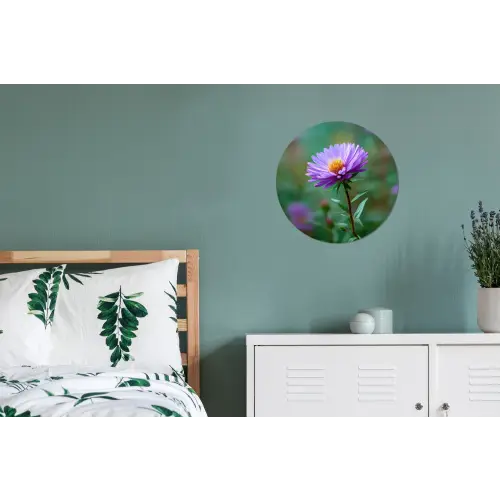 Aster - Paars - Bloem - Blaadjes Wandcirkel aluminium klein -slaapkamer