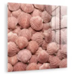 Schelpen - Patroon - Roze plexiglas 5mm klein -zzzproduct_nieuw