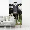 Koeien - Gras - Lente - Dieren - Weiland - Boerderij fotobehang vinyl groot -woonkamer