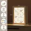 Dino - Patroon - Pastel Light Box met kabel klein -USP_NL