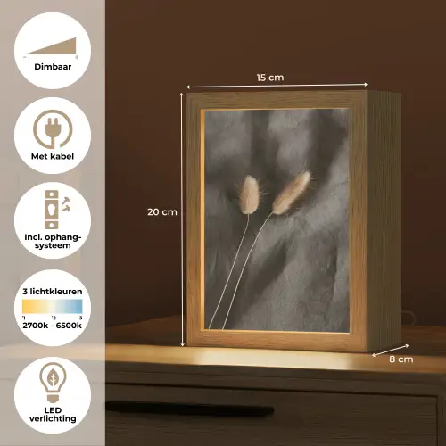 Pampasgras - Pluim - Zwart - Beige Light Box met kabel (Tafellamp) klein -USP_NL