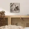 Strand - Zeester - Zand - Beige plexiglas 5mm klein -sfeer4