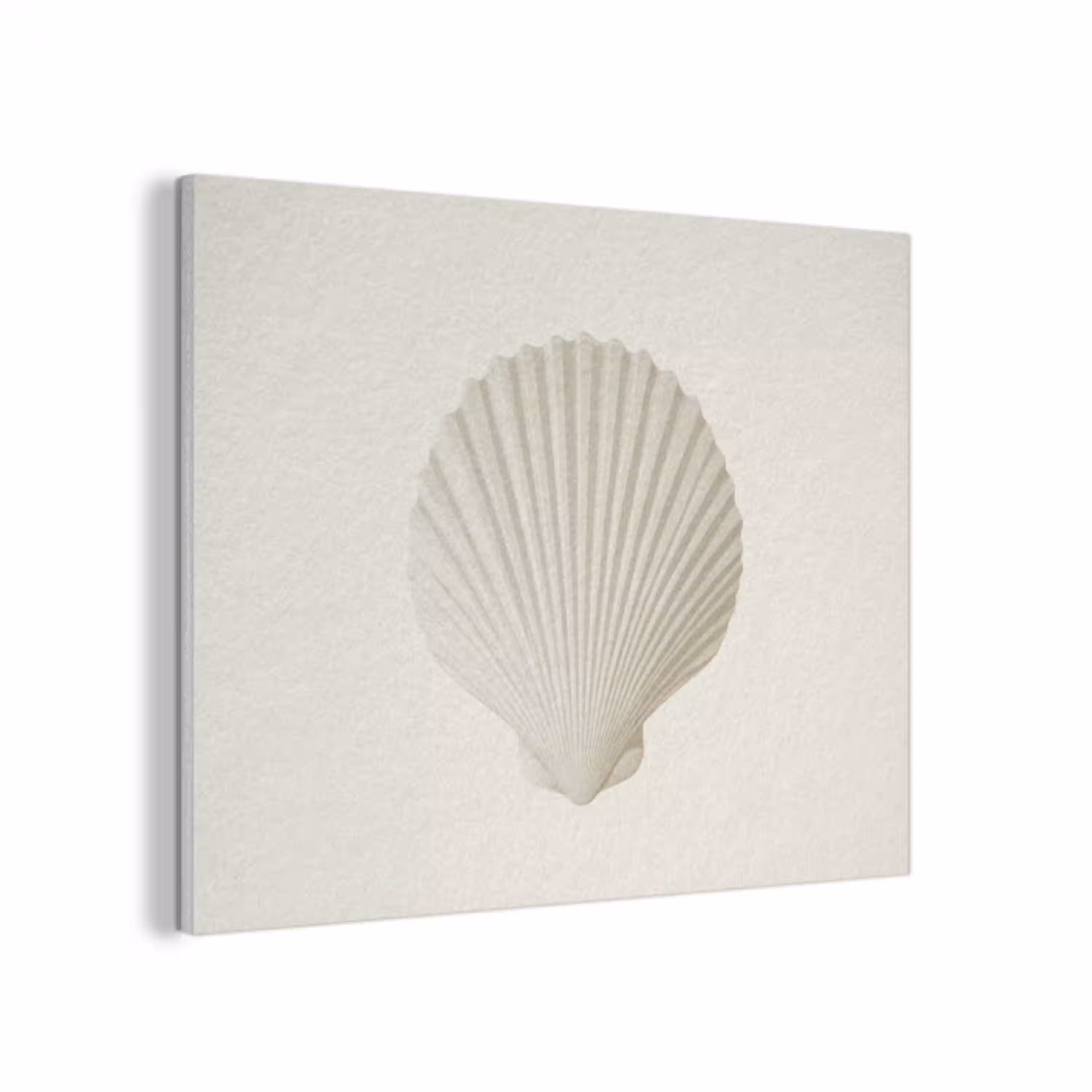 Schelp - Minimalistisch - Wit PET vilt klein -3d