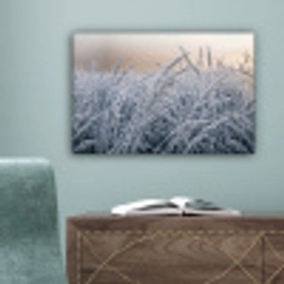 Rijp - Gras - Kristallen - Winter - Minimalistisch canvas 2cm klein -sfeer4