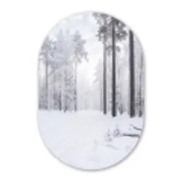 Bos - Sneeuw - Pad - Winter - Stilte Wandcirkel Ovaal Aluminium middel -3d