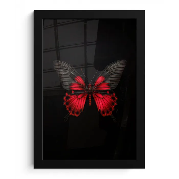 Vlinder - Rood - Contrast fotolijst zwart zonder passe partout klein -3d