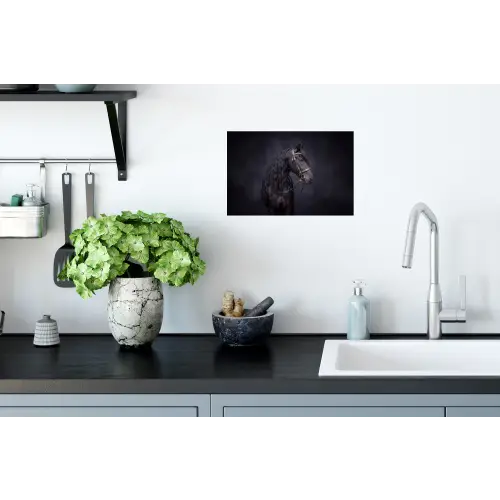 Portret - Paard - Donker Muursticker klein -keuken