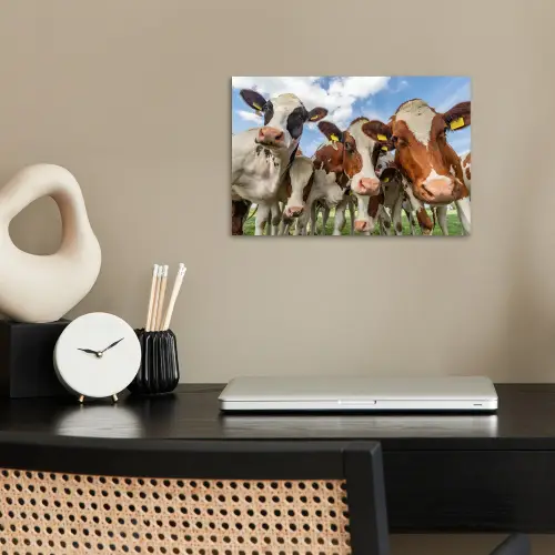 Koeien - Dieren - Weiland - Natuur poster papier klein -sfeer1