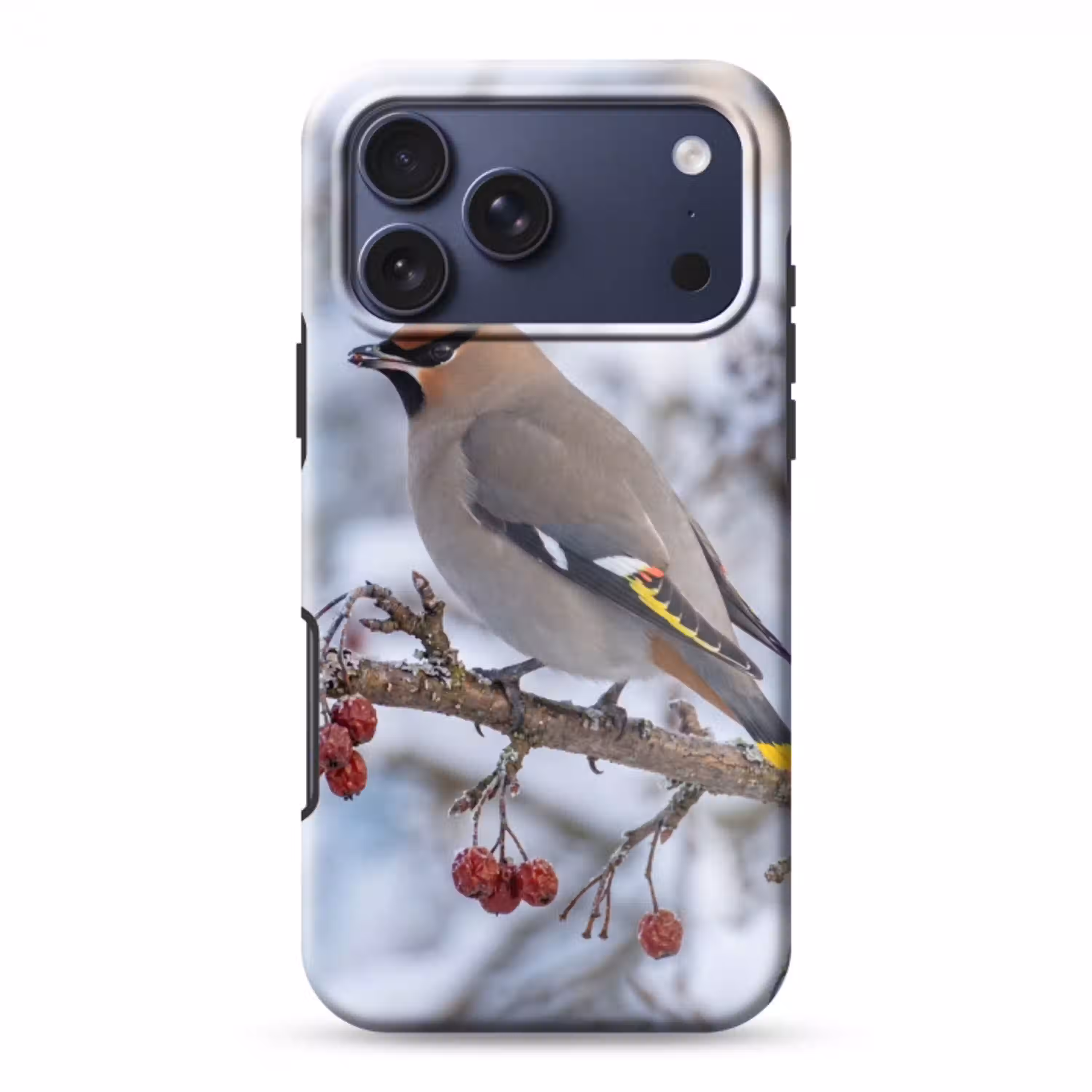 Pestvogel - Bessen - Winter - Natuur Toughcase MagSafe Apple iPhone 17 Pro Max klein -3d
