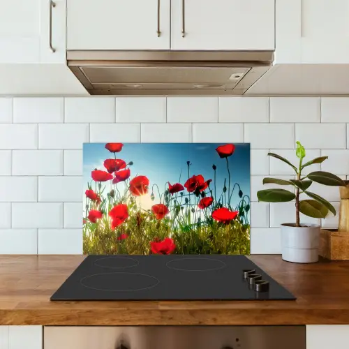 Klaprozen - Toscane - Zon - Rood - Blauw keuken achterwand spatscherm klein -sfeer2