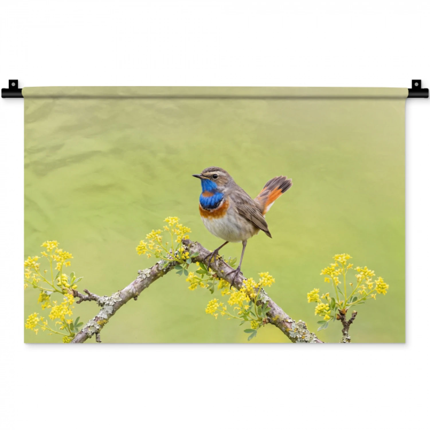 Vogel - Tak - Natuur - Kleurrijk Wandkleed katoen klein -zz3d