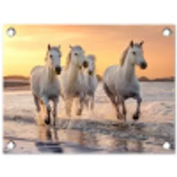 Witte paarden galopperen langs de kust tuinposter los doek klein -3d