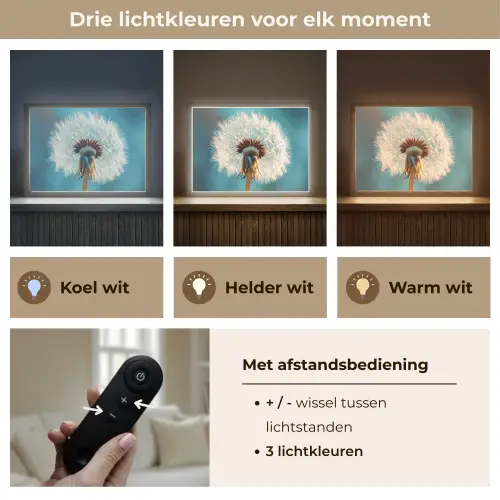 Paardenbloem - Natuur - Bloemen - Blauw Light Box met batterij (Wandlamp) middel -USP_lichtkleurNL