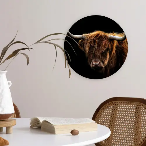 Schotse Hooglander - Horens - Zwart - Dieren - Natuur - Wild - Koe Wandcirkel kunststof plaat 5mm dik klein -sfeer4
