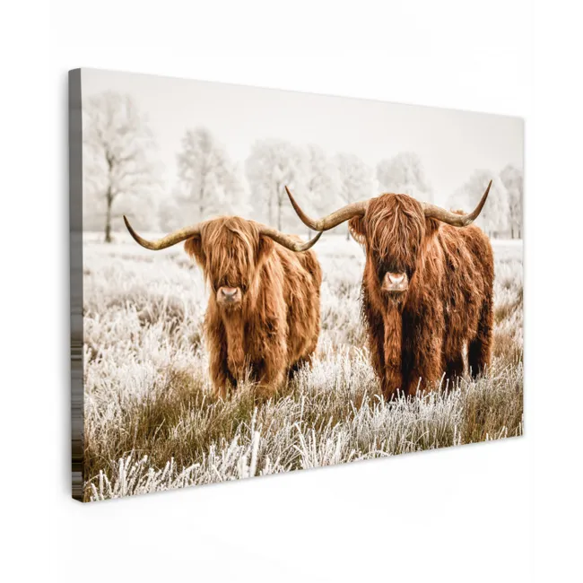 Schotse hooglander - Koe - Natuur - Winter canvas 2cm klein -z3d