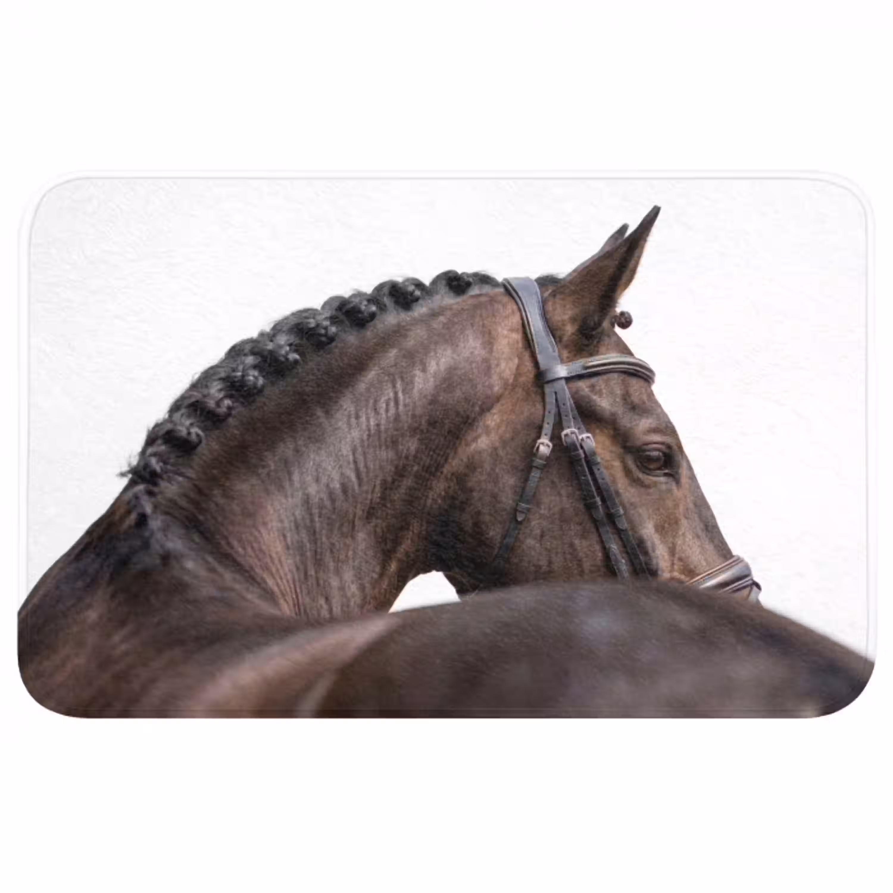 Portret - Paard - Elegant Badmat middel -3d