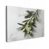 Olijventak - Beton - Mediterraan canvas 2cm klein -z3d