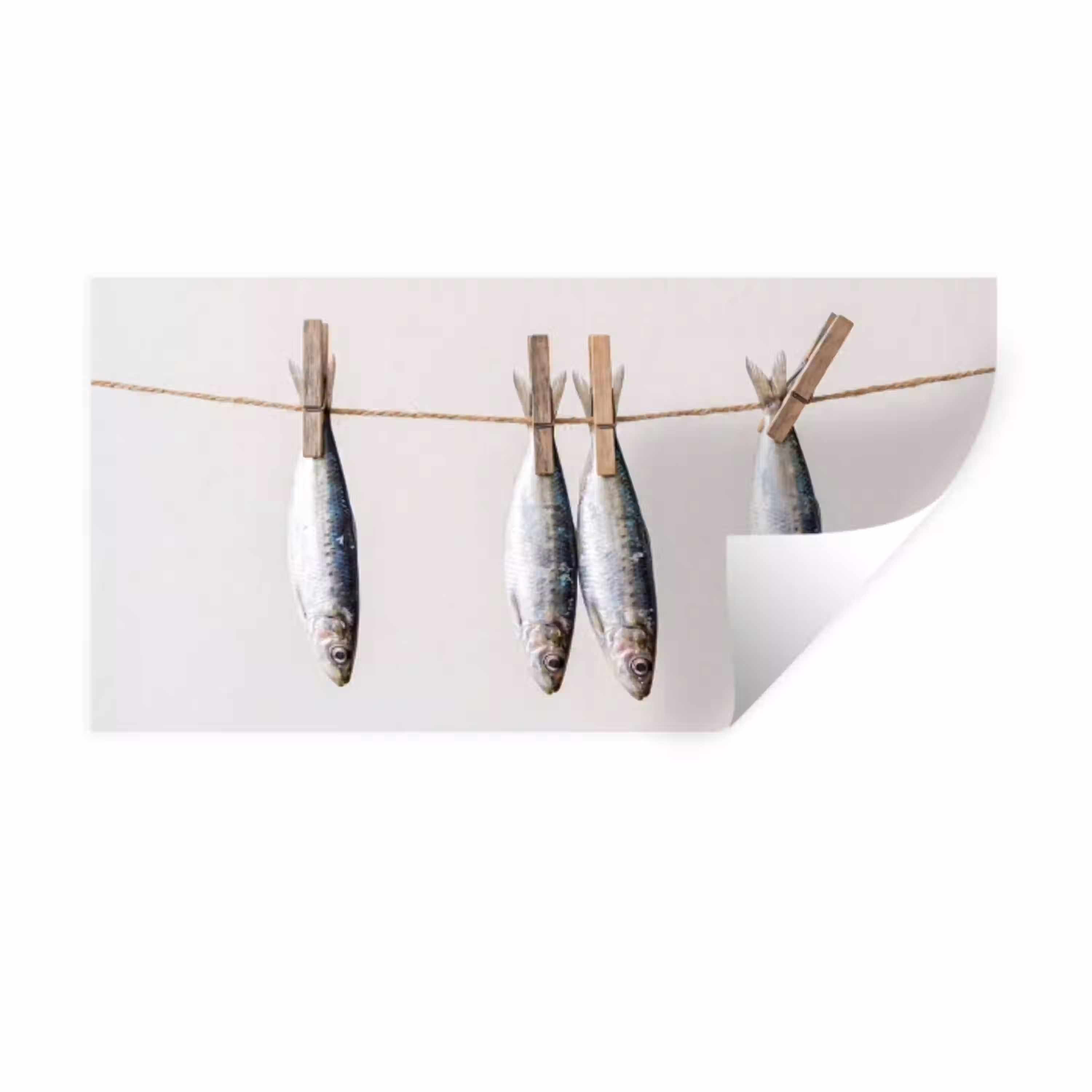 Vis - Hangend - Eten Muursticker klein -3d