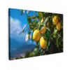 Citroenen - Bladeren - Blauwe lucht canvas 2cm klein -z3d