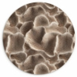 Waaiervorm - Beige - Vezel textuur Wandcirkel kunststof plaat 5mm dik klein 188 -3d