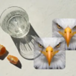 Amerikaans - Zeearend - Portret - Geel onderzetter kurk middel -sfeer4
