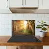 Bos - Herfst - Zon - Landschap - Natuur - Bomen - Bladeren keuken achterwand spatscherm klein -sfeer2