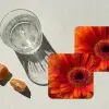 Oranje - Gerbera - Intens onderzetter kurk middel -sfeer4