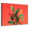Bladeren - Nerven - Oranje - Structuur Textielframe zwart klein -3d
