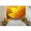Zonnebloem - Dauwdruppels - Geel - Zonlicht fotobehang vinyl groot -bed